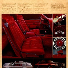 1979_Oldsmobile_Full_Size_Cdn-17
