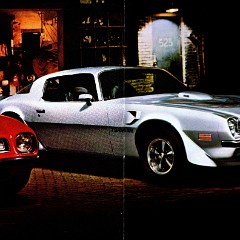 1975_Pontiac_Firebird_Cdn-02-03