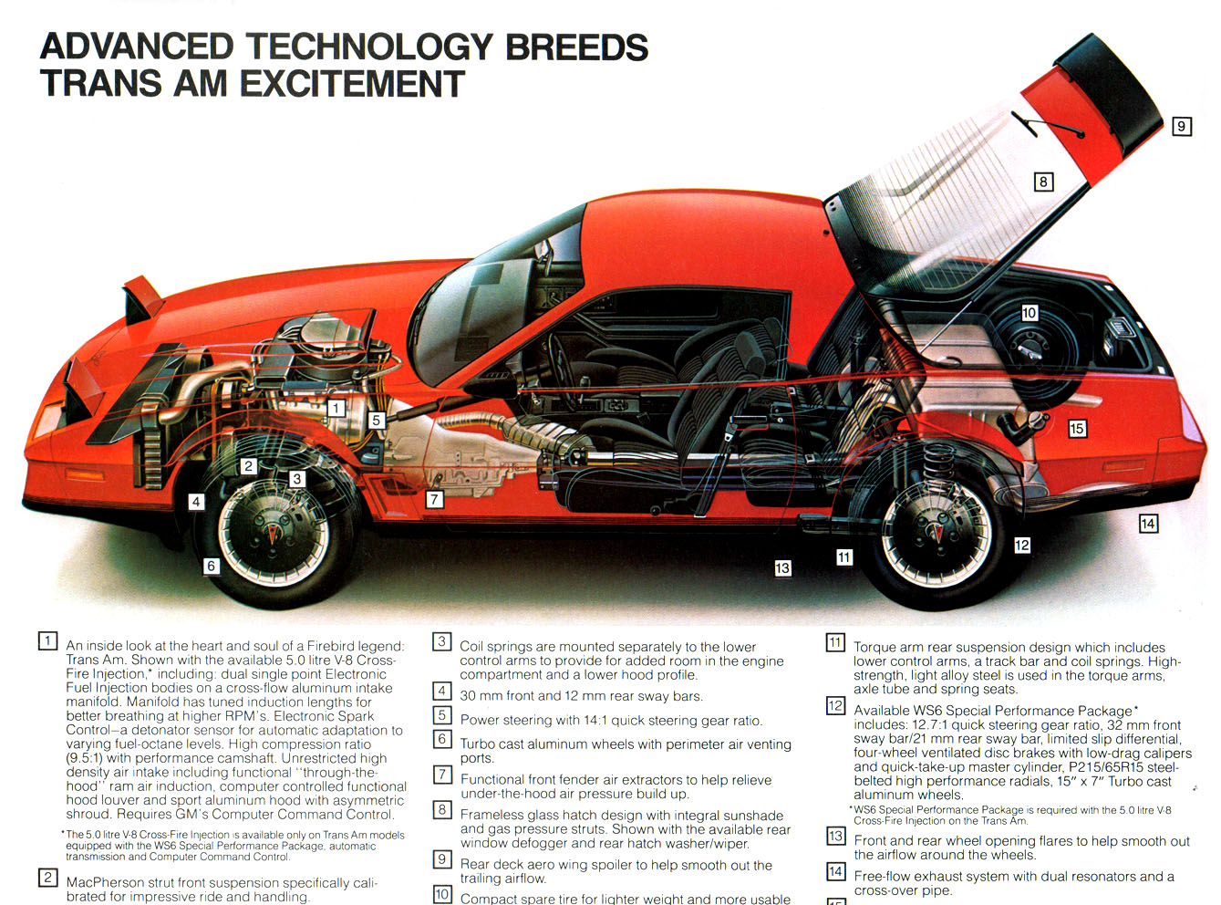 1983_Pontiac_Firebird-06