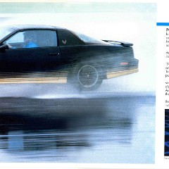 1984_Pontiac_Firebird-02-03