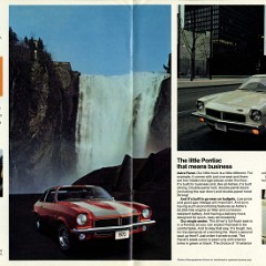 1973_Pontiac_Astre-08-09