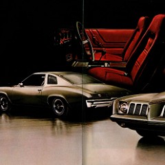 1973_Pontiac_LeMans__Grand_Am-12-13