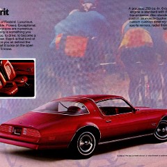 1976 Pontiac Firebird-Grand Prix Cdn page_06