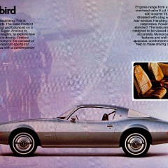 1976 Pontiac Firebird-Grand Prix Cdn page_07