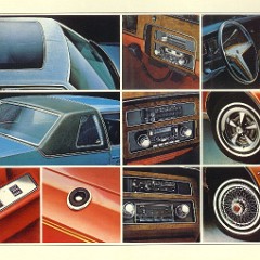 1978_Pontiac-13