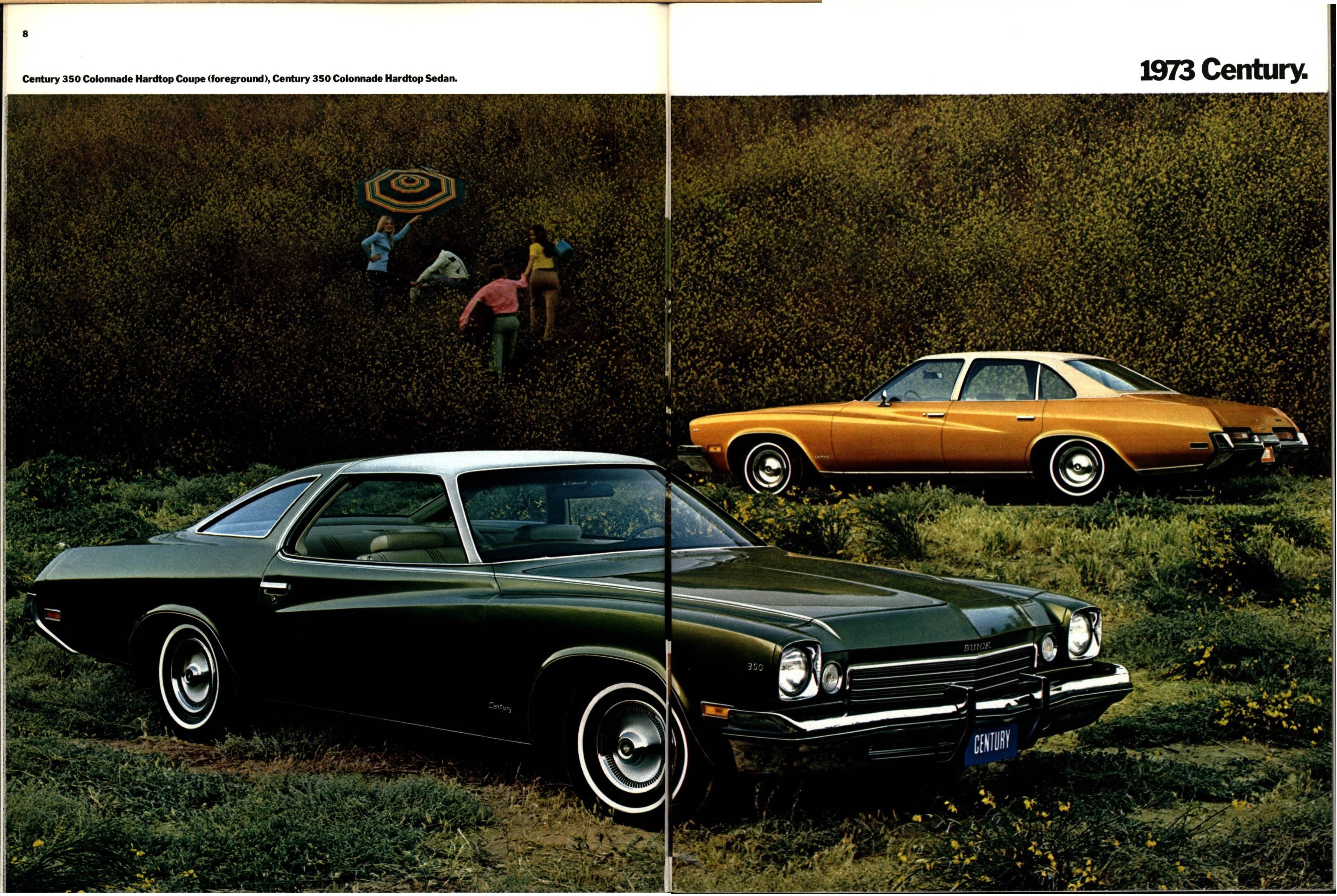 1973 Buick Full Line Prestige Brochure 08-09