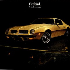 1974 Pontiac Firebird Foldout