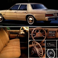 1981 Plymouth Gran Fury Brochure 02-03