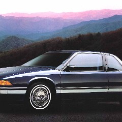 90buick48-49