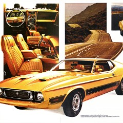 1973 Ford Mustang (Rev)_Page_3