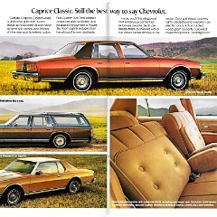 1978 Chevrolet Full Size (Rev)_Page_5