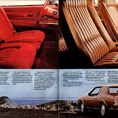 1979 Buick Full Size (Cdn)_Page_05