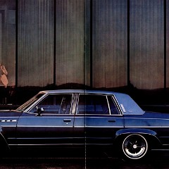 1979 Buick Full Size (Cdn)_Page_10