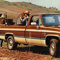 1982 Chevy Pickups_4