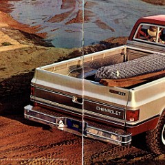 1982 Chevy Pickups_6