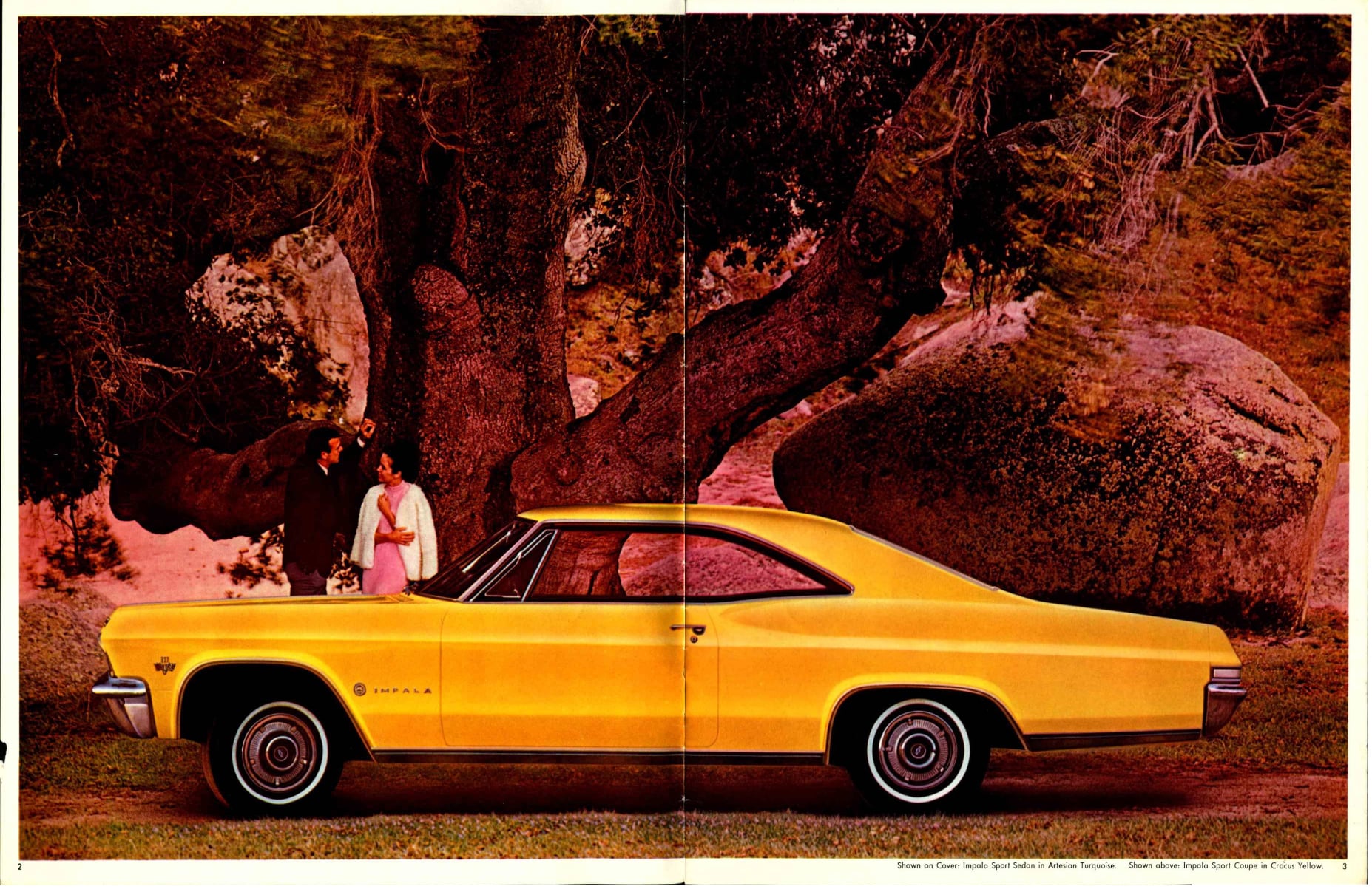 1965 Chevrolet Full Size Brochure (Cdn) 02-03