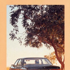 1980 Ford ZJ Fairlane (Aus)_Page_7