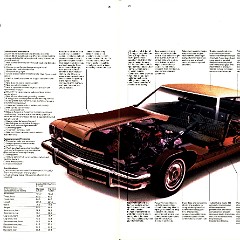 1974 Buick 20-21