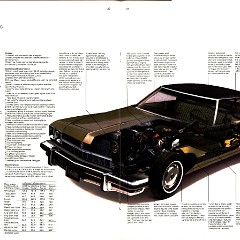 1974 Buick 30-31