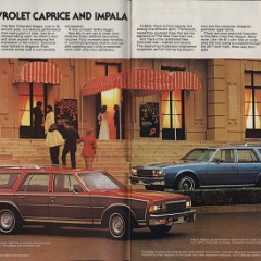 1978 Chevrolet Wagons Brochure 02-03