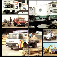 1979 Ford D Series Trucks (Aus)-06-07.jpg.jpg-2022-12-7 13.39.31