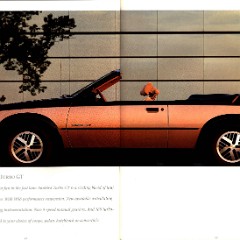 1987 Pontiac Full Line Prestige Brochure 48-49