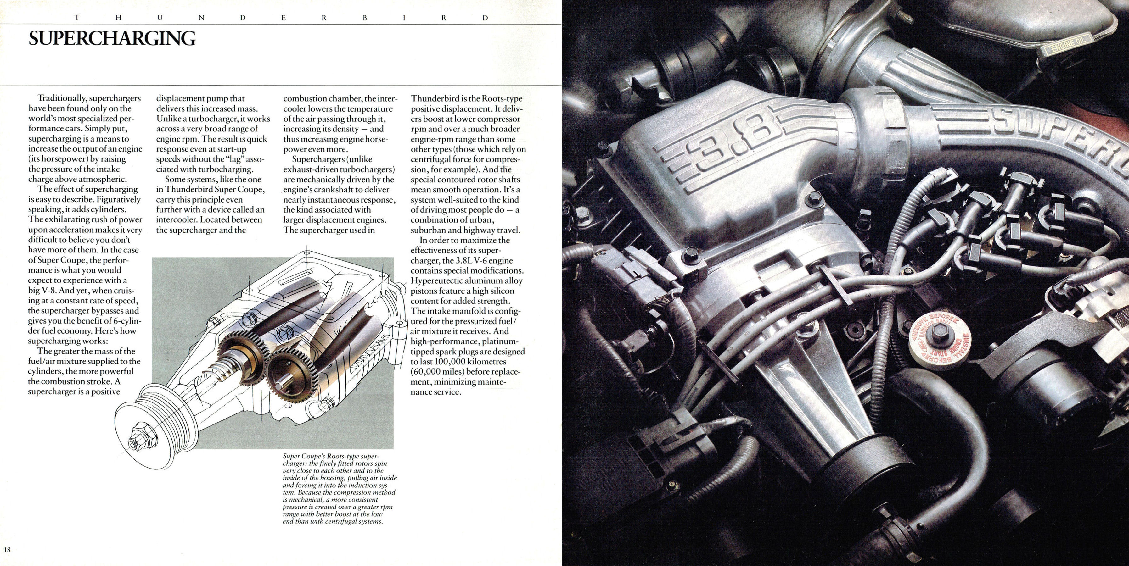 1989 Ford Thunderbird (Cdn) (TP).pdf-2024-5-1 20.33.0_Page_10