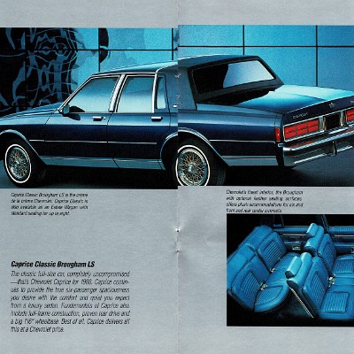 1988 Chevrolet Cars and Trucks_009