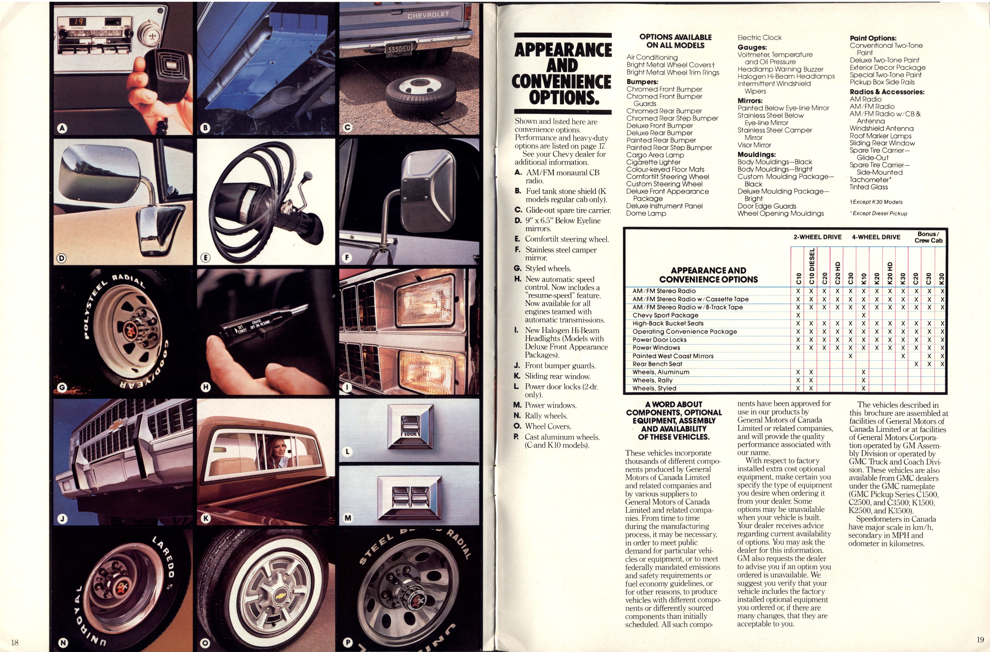 1981 Chevrolet Pickups Brochure (Cdn) 18-19