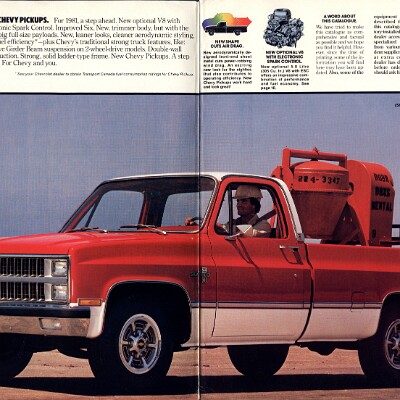 1981 Chevrolet Pickups Brochure (Cdn) 02-03