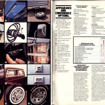 1981 Chevrolet Pickups Brochure (Cdn) 18-19