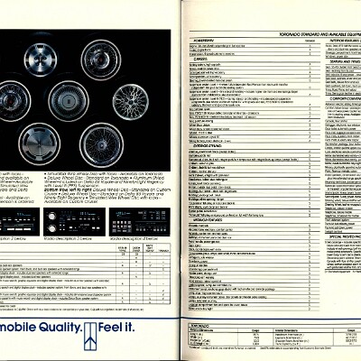 1987 Oldsmobile Full Size Brochure 38-39