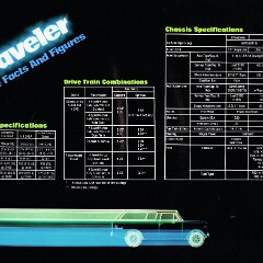 1980 International Scout_Page_10