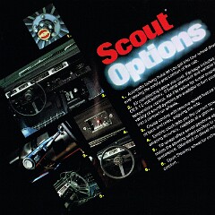 1980 International Scout_Page_14