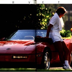 1989 Chevrolet Cars Full Line Brochure 38-39