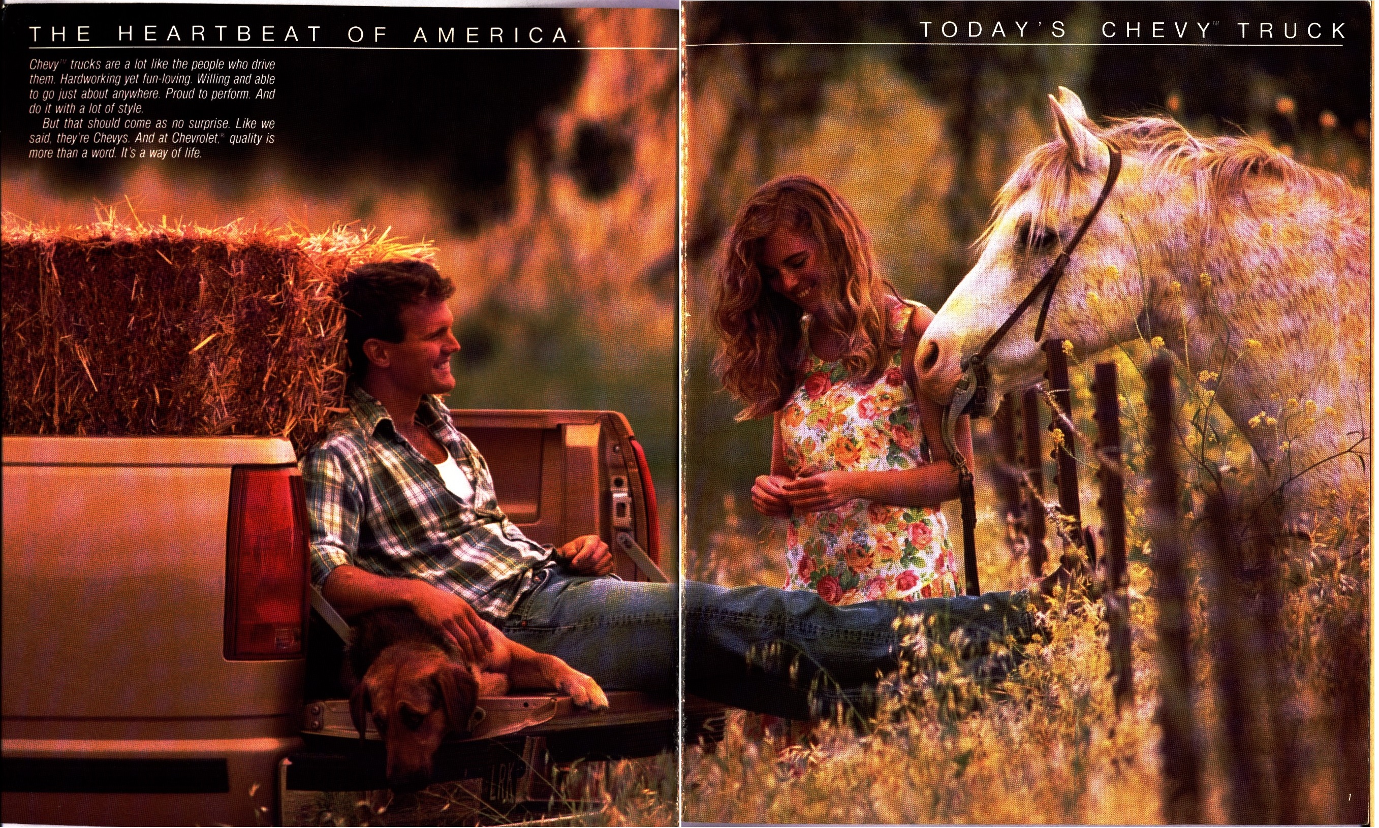 1989 Chevrolet Trucks Full Line Brochure 00a-01