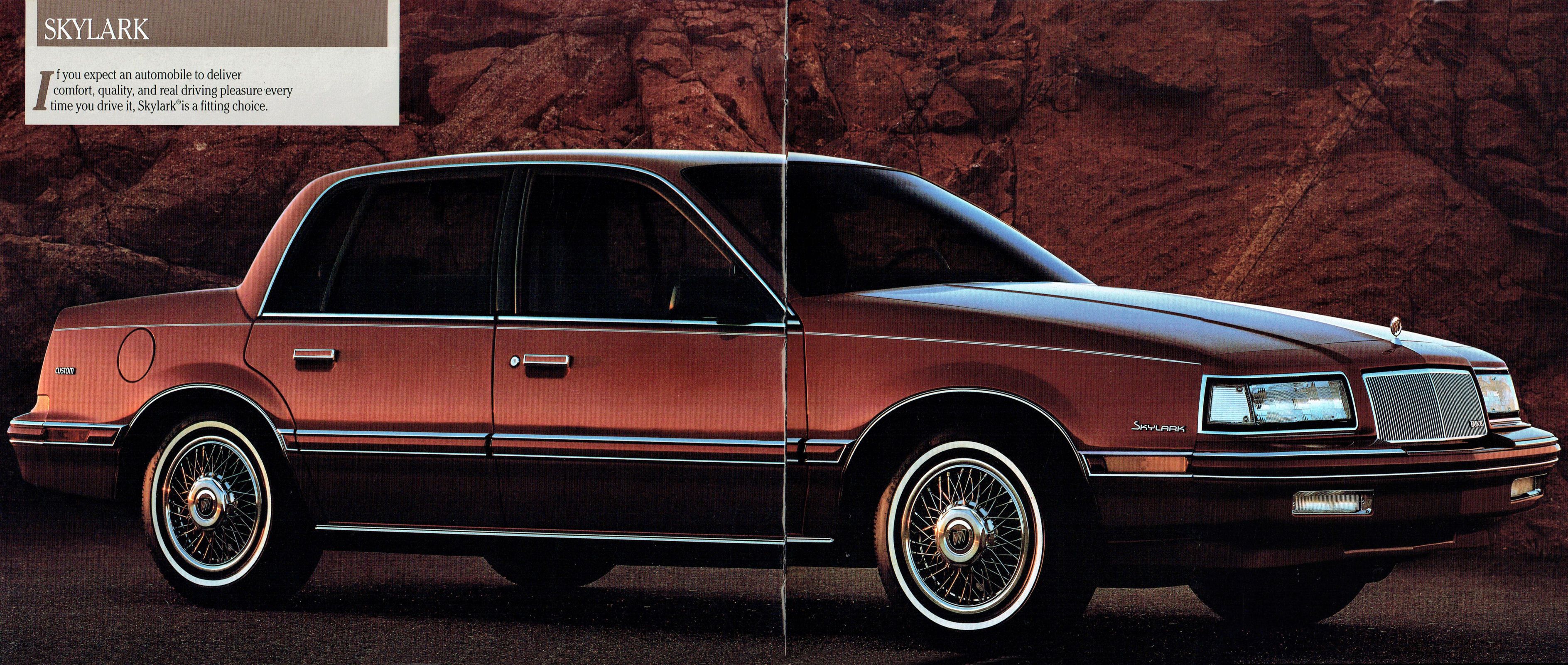 1991 Buick Full Line_Page_21