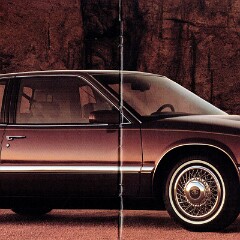 1991 Buick Full Line_Page_06