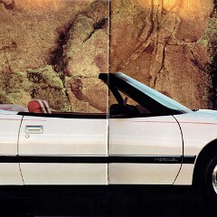 1991 Buick Full Line_Page_09