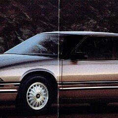 1991 Buick Full Line_Page_15
