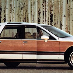 1991 Buick Full Line_Page_27
