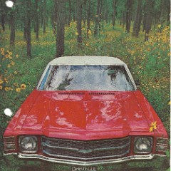 1971 Chevelle - Mexico
