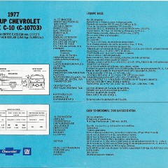 1977 C-10_0002
