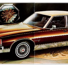 1978 Pontiac Full Size Brochure (Cdn) 02-03