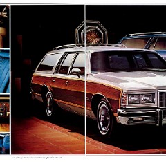 1978 Pontiac Full Size Brochure (Cdn) 10-11