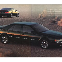 95cad06-07
