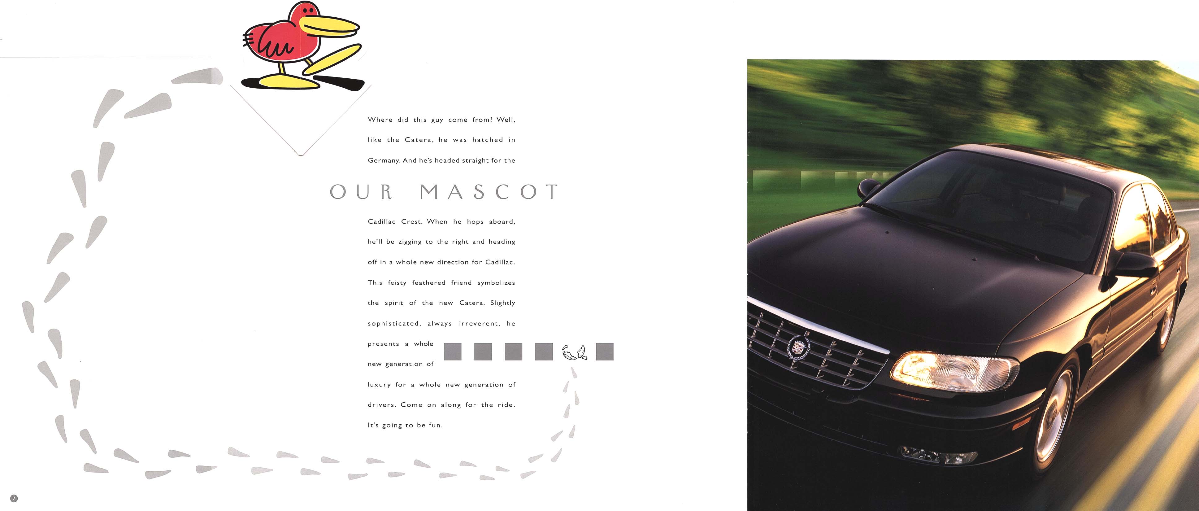97cadcat07-08-09