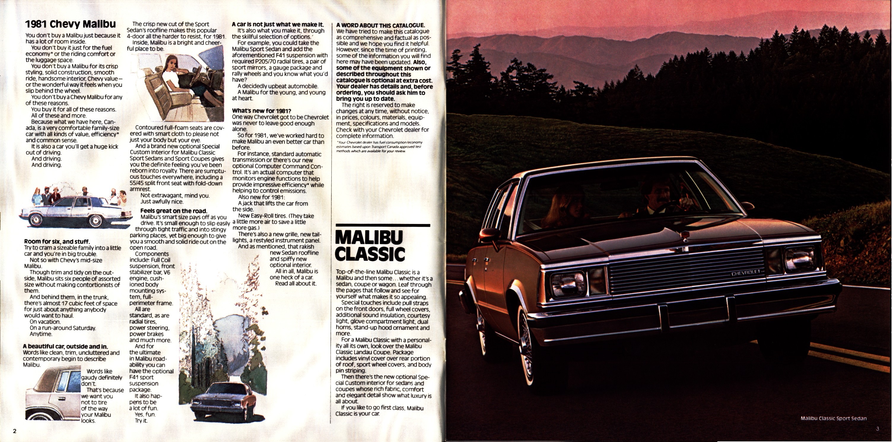 1981 Chevrolet Malibu Brochure (Cdn) 02-03