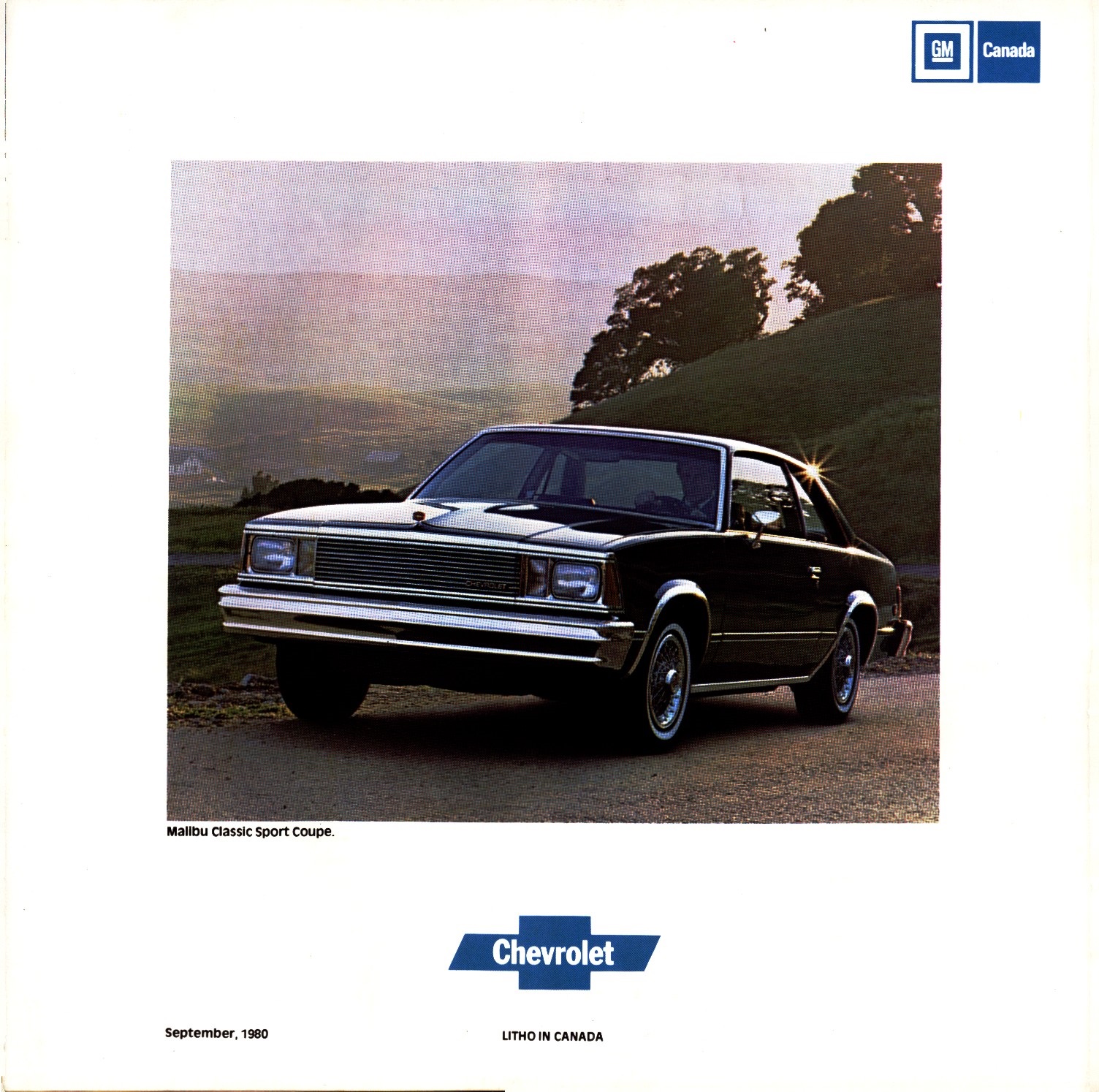 1981 Chevrolet Malibu Brochure (Cdn) 20