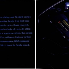 2000 Pontiac Firebird Brochure 06-07